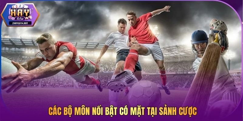 Các bộ môn nổi bật có mặt tại sảnh cược