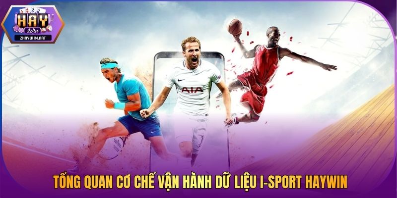 Tổng quan cơ chế vận hành dữ liệu I-Sport HAYWIN