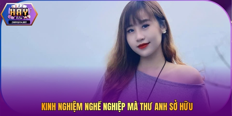 Kinh nghiệm nghề nghiệp mà Thư Anh sở hữu