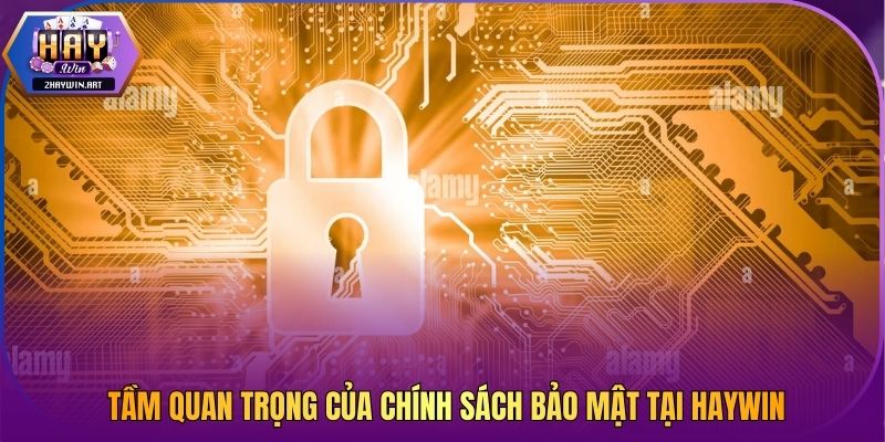 Tầm quan trọng của chính sách bảo mật tại Haywin