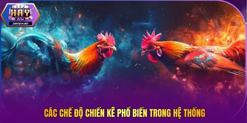 Các chế độ chiến kê phổ biến trong hệ thống