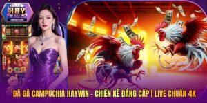 Đá Gà Campuchia Haywin - Chiến Kê Đẳng Cấp | Live Chuẩn 4K