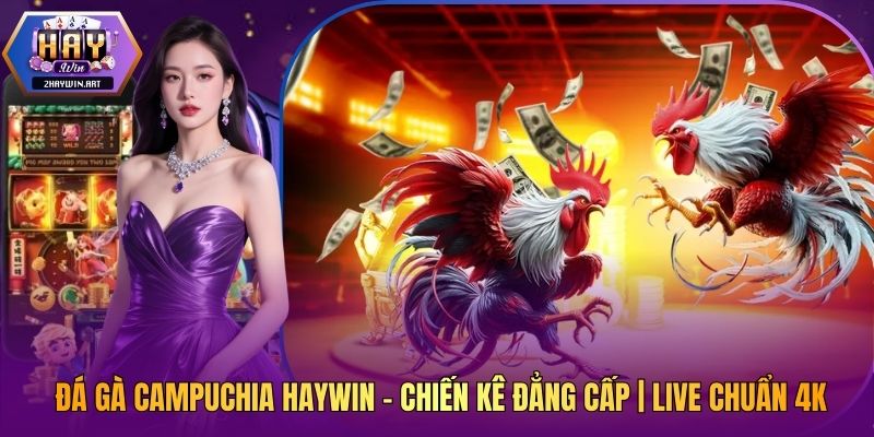 Đá Gà Campuchia Haywin - Chiến Kê Đẳng Cấp | Live Chuẩn 4K