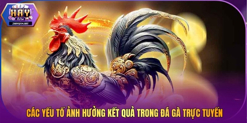 Các yếu tố ảnh hưởng kết quả trong đá gà trực tuyến