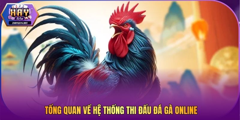 Tổng quan về hệ thống thi đấu đá gà online
