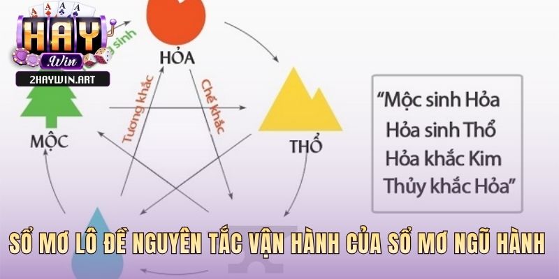 Sổ mơ ngũ hành luận giải giấc mơ dựa trên triết lý ngũ hành